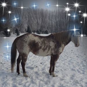 Meet your Posher, Karla